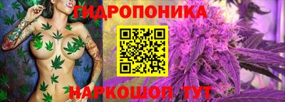 герыч Бийск