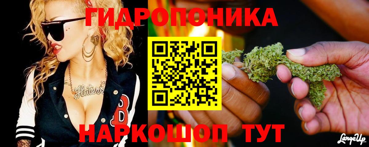 Каннабис Amnesia  Вход с VPN  Гай  Канабис THC 21% 